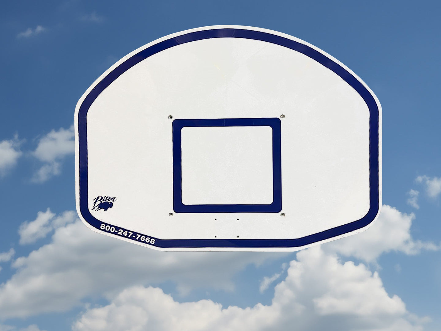 Bison 36" x 48" Fan Shaped Molded Graphite Backboard