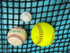 Bison Cable Supported Net Systems