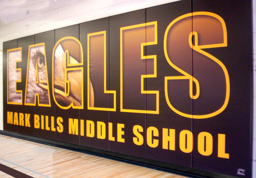 Bison Firewall™ Graphic Hidden Mount Wall Padding 2' x 6' Panel