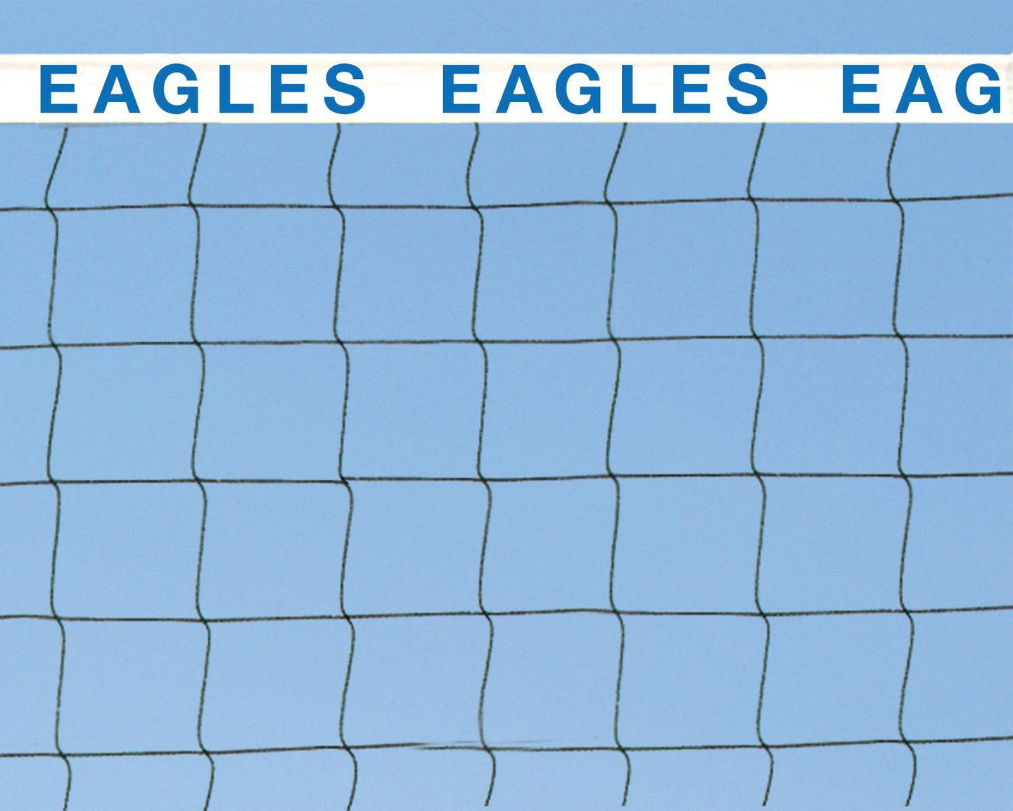 Bison Centerline Elite Beach Volleyball Double Court System
