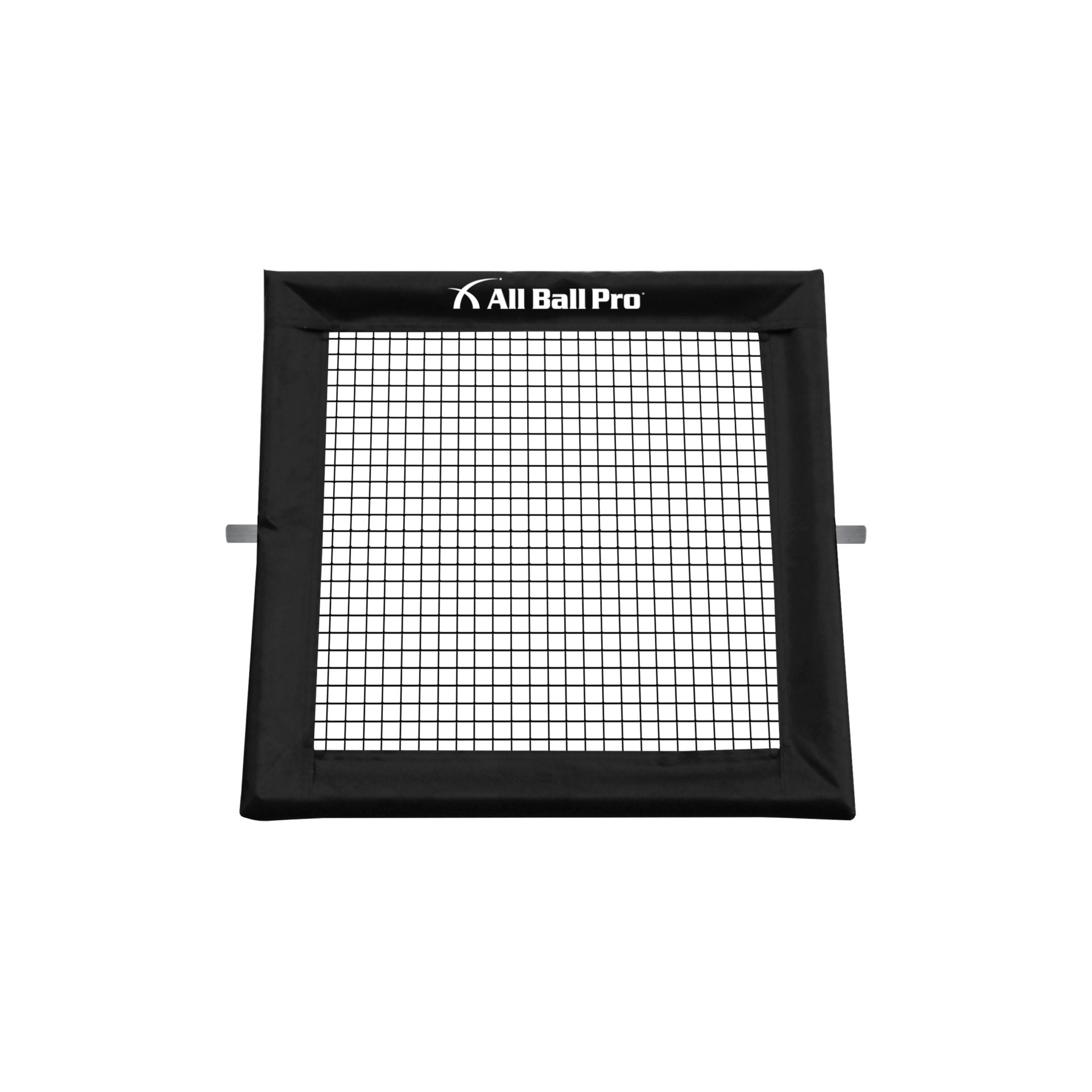 All Ball Pro Net Frame