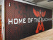 Bison Protector™ Graphic Flange Mount Wall Padding 2' x 6' Panel